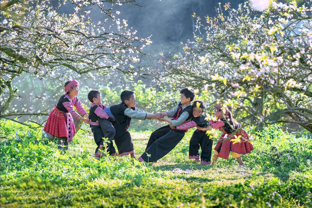 Mùa hoa mận Mộc Châu